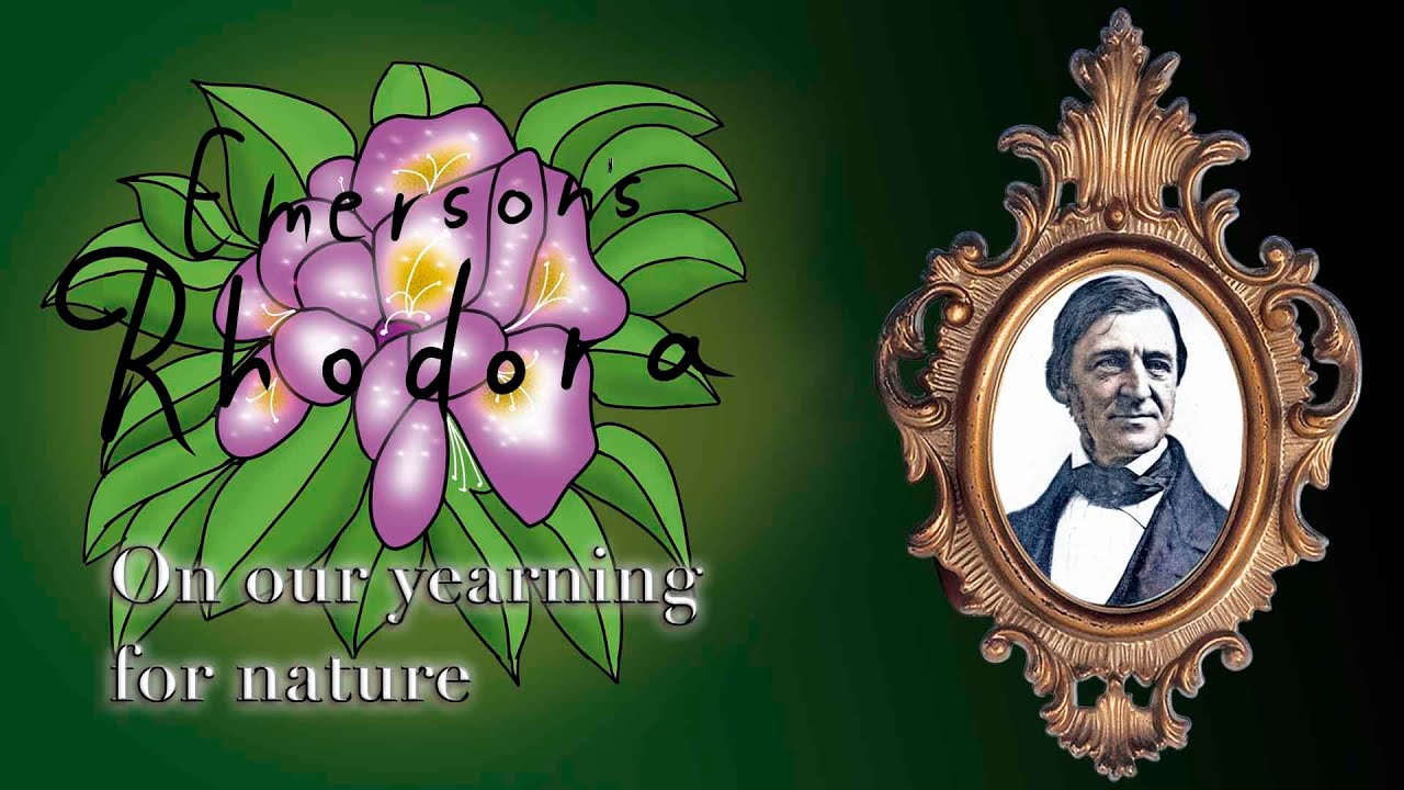 The Rhodora by Ralph Waldo Emerson
