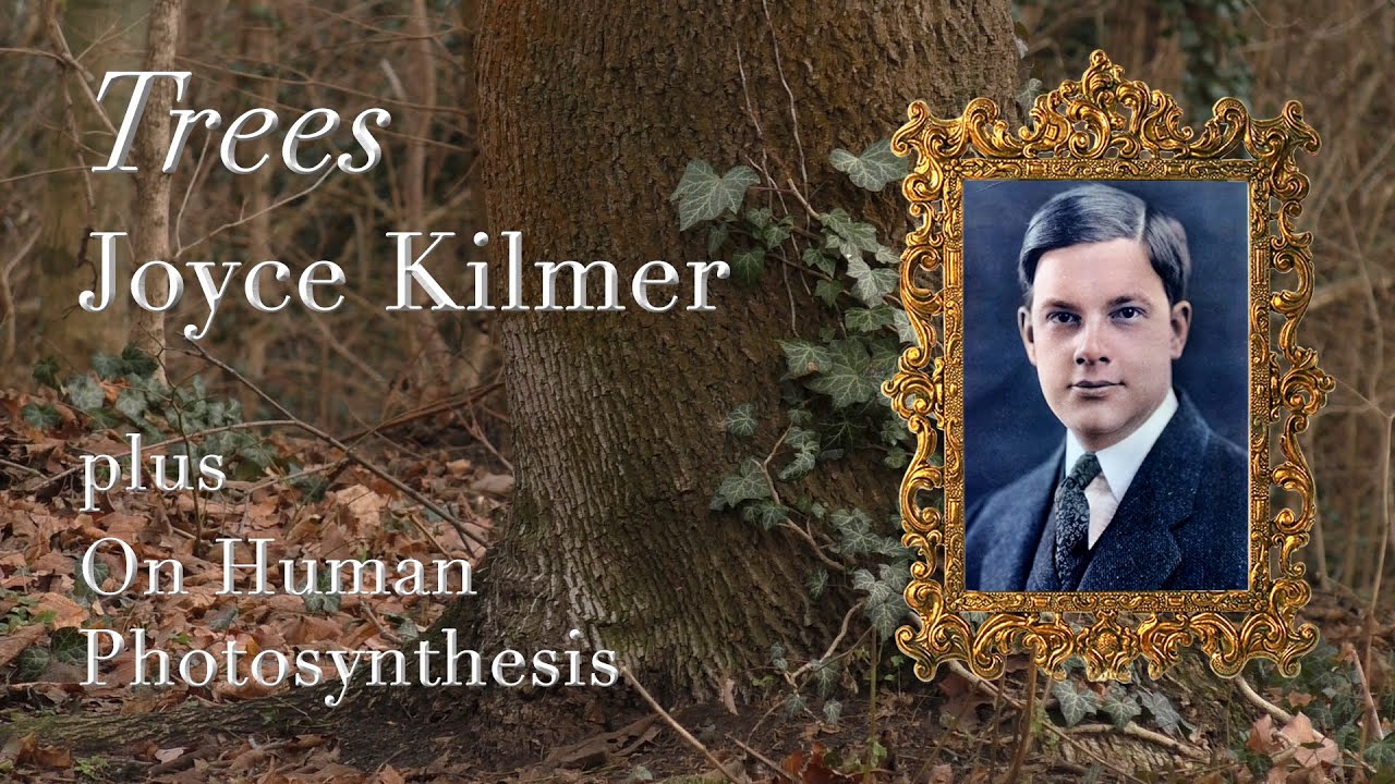 Joyce Kilmer's ”Trees”